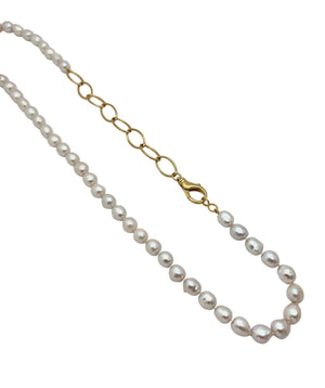 Pearl and Chain Necklace